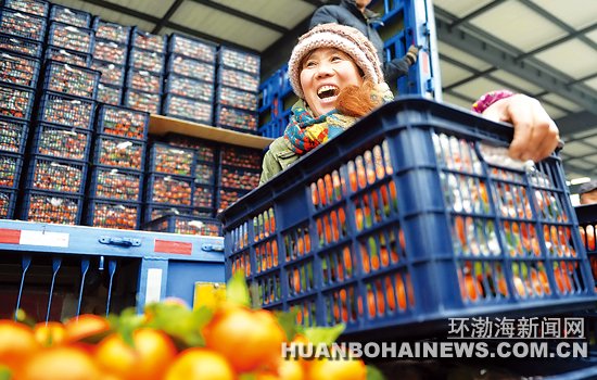 唐山四季水果农产品交易中心正式投入运营_综合新闻_唐山环渤海新闻网
