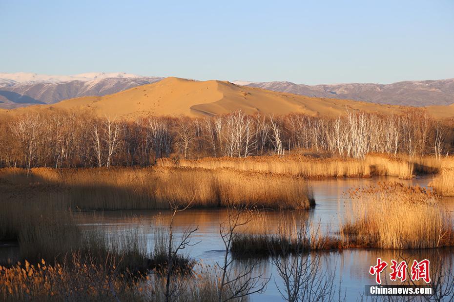 新疆兵团白沙湖初冬美景 静谧迷人似水墨画卷