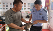 打击非法猎捕野生动物 唐山海港警方不手软！