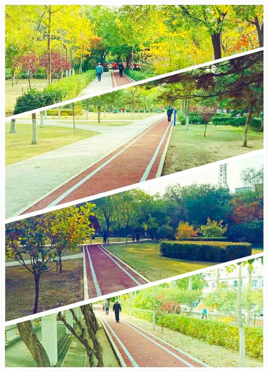 唐山市中心区25个公园广场新添塑胶跑道(图2)