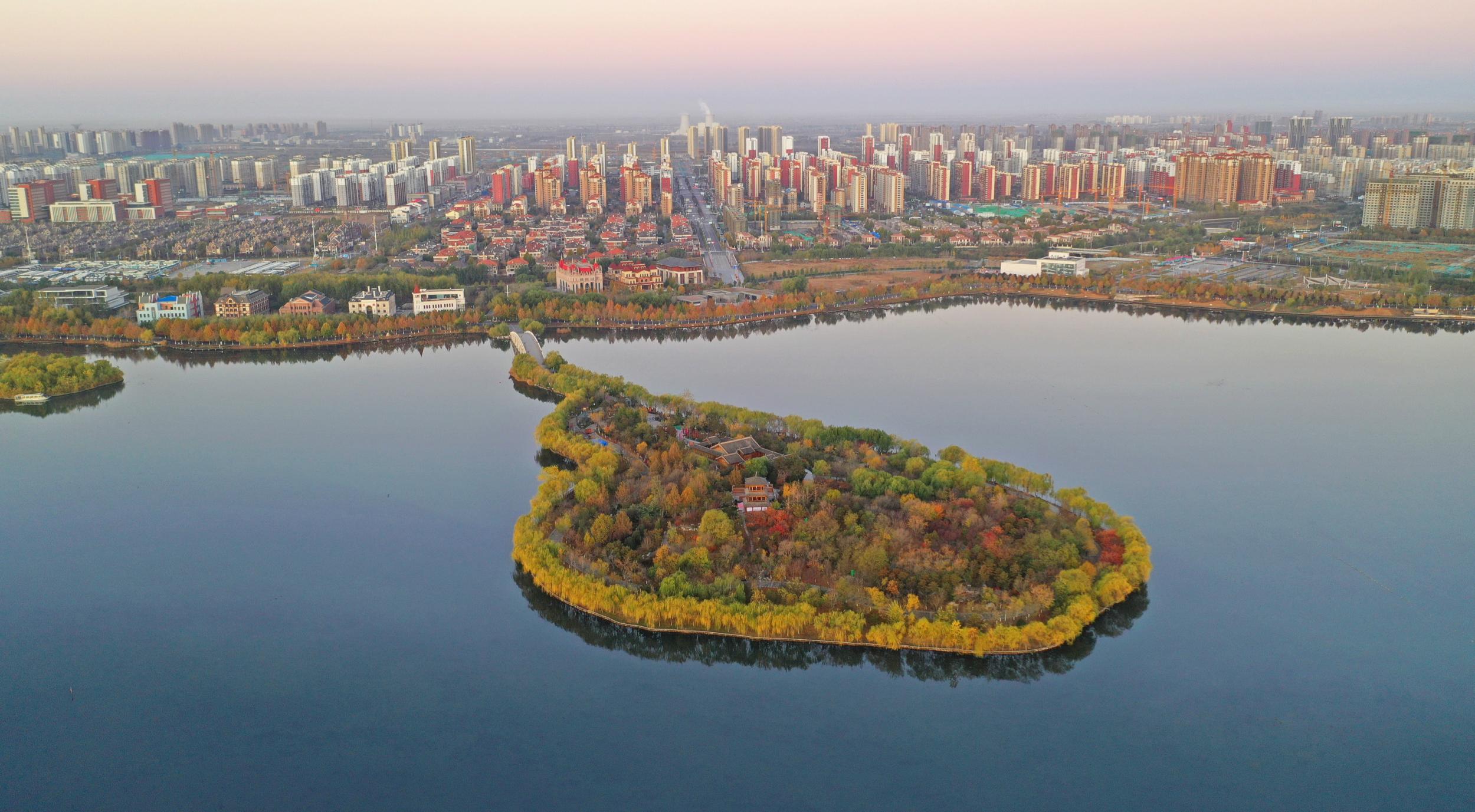 这是11月11日拍摄的河北省唐山市南湖景区.